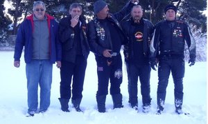 Ysterperdmanne vasgesneeu